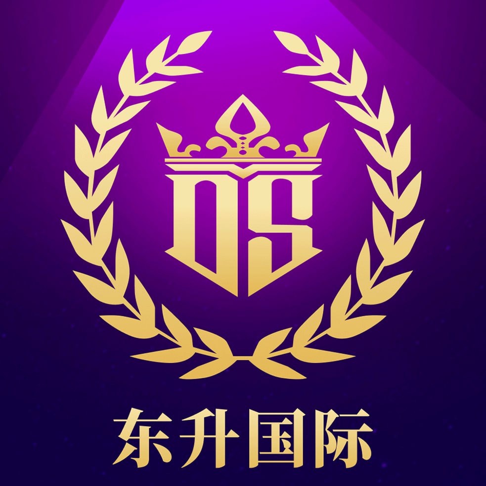 东升国际